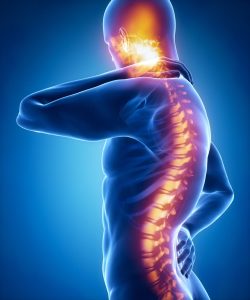 spinal cord pain