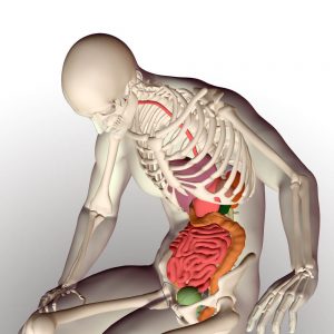 Attorneys for Internal Organ Injuries in Augusta Car Accidents